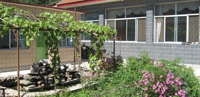 试种榴莲1000亩！勐腊县探索特色农业新路径